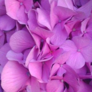 Meet your Posher, Jaclyn